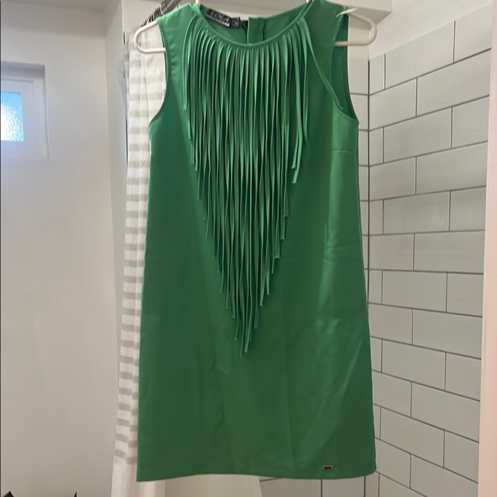 lola Green Embellished Ruffled Sheath Dress💚 ‼️PRICE DROP‼️